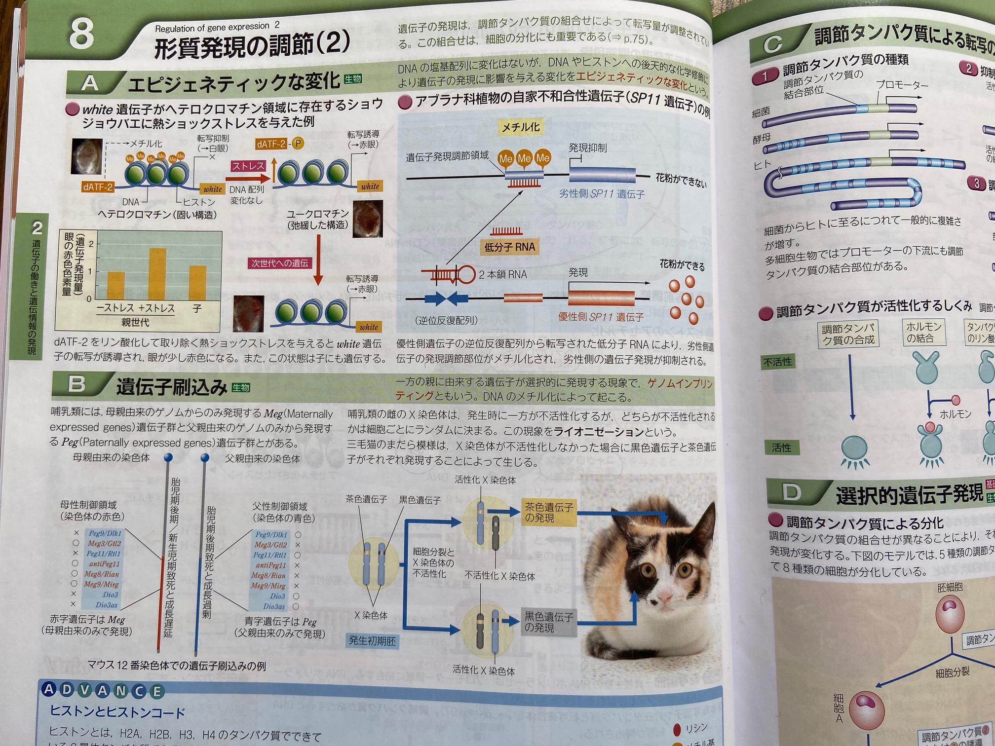 サイエンスビュー化学総合資料 - コンピュータ・IT